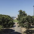 Belém tower garden