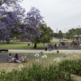 fotografia do jardim vasco da gama, com o parque infantil e o arvoredo circundante